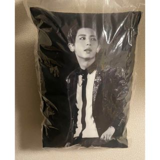 【FC限定】EXO chanyeol チャニョル クッション(K-POP/アジア)