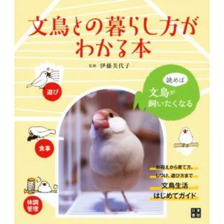 文鳥との暮らし方がわかる本 お迎えから育て方、しつけ、遊び方まで文鳥生活はじめてガイド／伊藤美代子(住まい/暮らし/子育て)