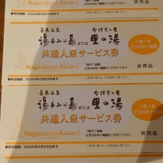 湯あみの島入場券4枚(その他)