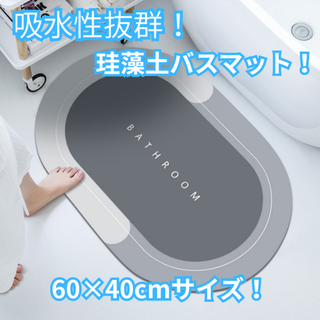 【送料無料】珪藻土 バスマット 吸水 速乾 丸洗い ソフトタイプ ライトグレー(その他)