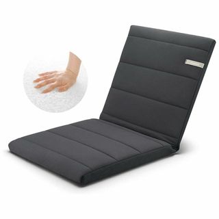 【数量限定】エアウィーヴ(airweave) 座 4-261011-BK-1 背(クッション)