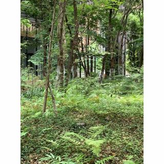 8888様の専用です。(オフィス用品一般)