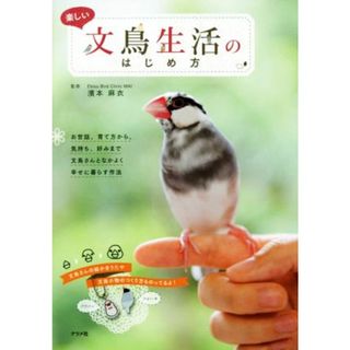 楽しい文鳥生活のはじめ方／濱本麻衣(住まい/暮らし/子育て)