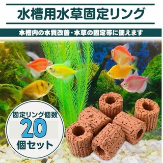 【新品】水草固定リング 20個入 水槽用 アクアリウム　水質改善 隠れ家 金魚(アクアリウム)