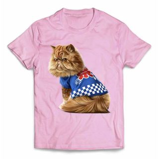 ペルシャ猫 ねこ 法被 夏祭り 花火 半袖 Tシャツ メンズ レディース キッズ(Tシャツ/カットソー(半袖/袖なし))