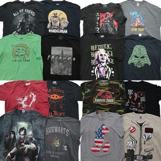 古着卸 まとめ売り 映画・ドラマ 半袖Tシャツ 16枚セット (メンズ XL ) ホラー フレンズ ディズニー ハリーポッター 中古 古着 NB3008(その他)