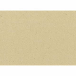 【特価セール】ナガオ ランチョンマット 未晒し 26x38cm 100枚セット 