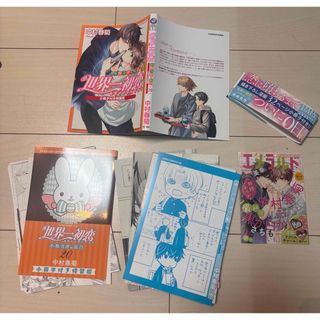 【裁断済みBL】まとめ買い⭕️ 世界一初恋　20 小冊子付き特装版　中村春菊(ボーイズラブ(BL))