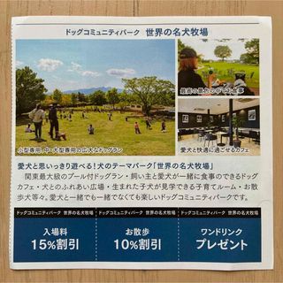 世界の名犬牧場 渋川スカイランドパーク 群馬 チケット 割引券 クーポン(遊園地/テーマパーク)
