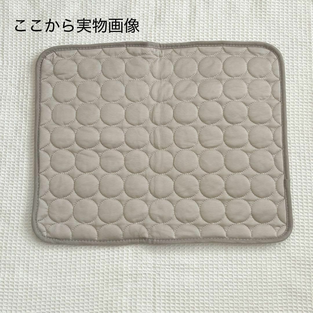 ひんやりペットクッション　2枚組　Mサイズ　冷感　クール　犬　猫　洗濯可　マット インテリア/住まい/日用品のインテリア/住まい/日用品 その他(その他)の商品写真