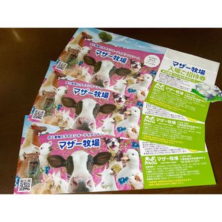 まり様専用 ◆ 千葉県 マザー牧場 ◆ 入園券５枚 set！(遊園地/テーマパーク)