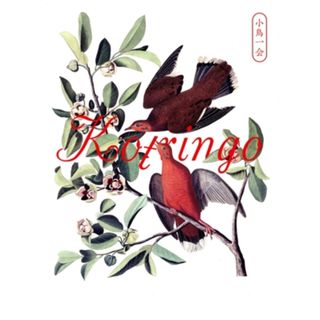 小鳥一会　「小鳥観察　ｋｏｔｒｉｎｇｏ　Ｂｅｓｔ」発売記念ライブ(ミュージック)