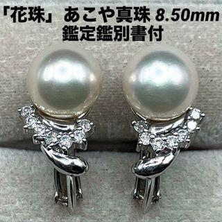 JF363★高級 花珠 あこや真珠8.5mm D pt イヤリング 鑑定鑑別付(イヤリング)