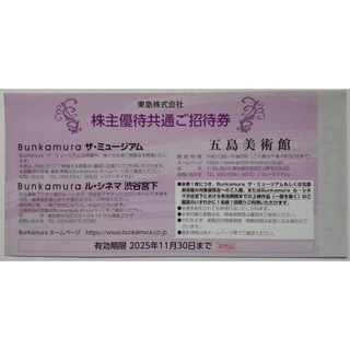 Bunkamuraザ・ミュージアム 招待券 3枚 2025年11月期限(美術館/博物館)