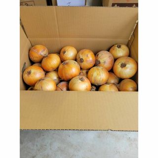 【選ばれる理由】淡路島産の新鮮で甘い玉ねぎ！B品5kg(野菜)