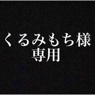 くるみもち様専用(カーナビ/カーテレビ)