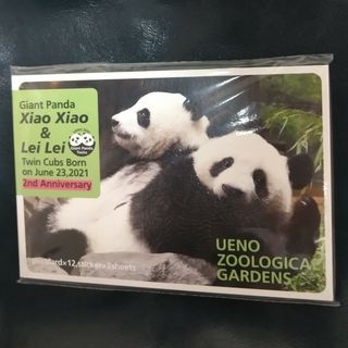 上野動物園限定  シャオレイ🐼🐼 ポストカードセット(その他)