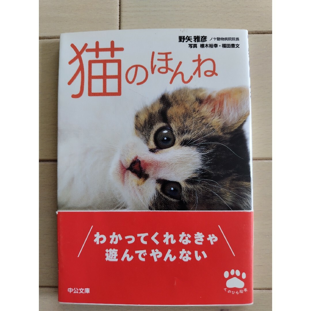 猫のほんね 野矢雅彦 エンタメ/ホビーの本(その他)の商品写真