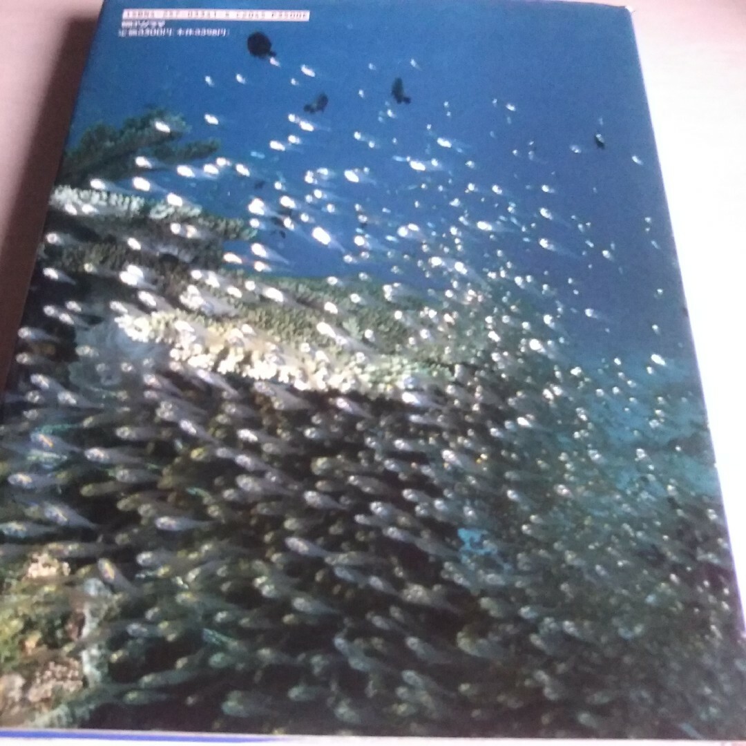 もっともくわしい海水魚の飼い方 エンタメ/ホビーの本(趣味/スポーツ/実用)の商品写真