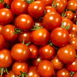 ミニトマト1kg  岐阜県中津川産(野菜)