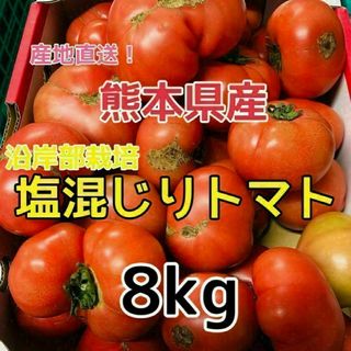 熊本県産 塩混じり トマト 約8kg(送料無料) クール便(野菜)
