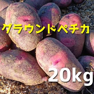 じゃがいも グラウンドぺチカ 20キロ(野菜)