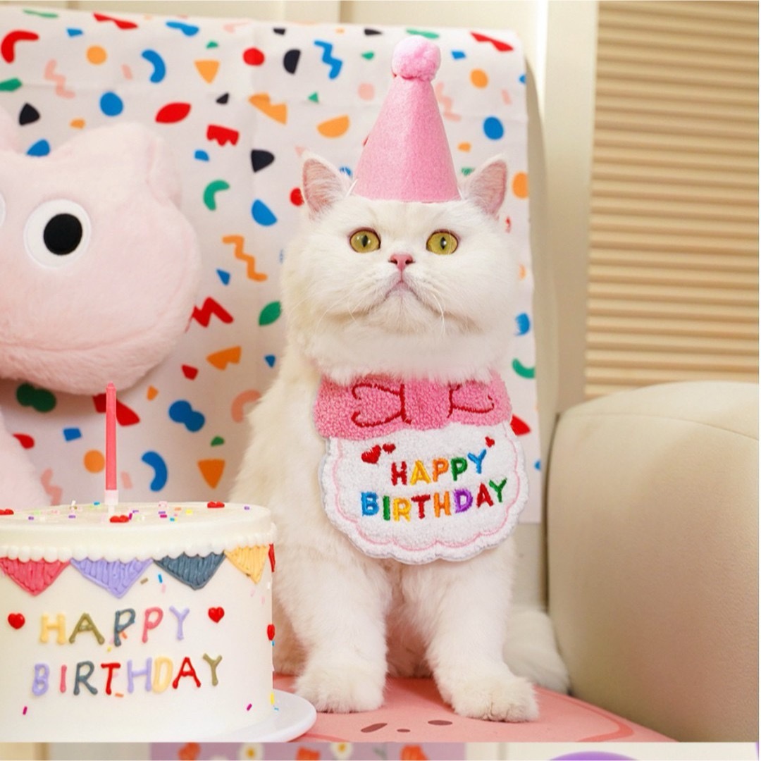 ペット　スタイ　帽子　誕生日　２点セット　バースデー　犬　猫　うさぎ　誕生日記念 その他のペット用品(犬)の商品写真