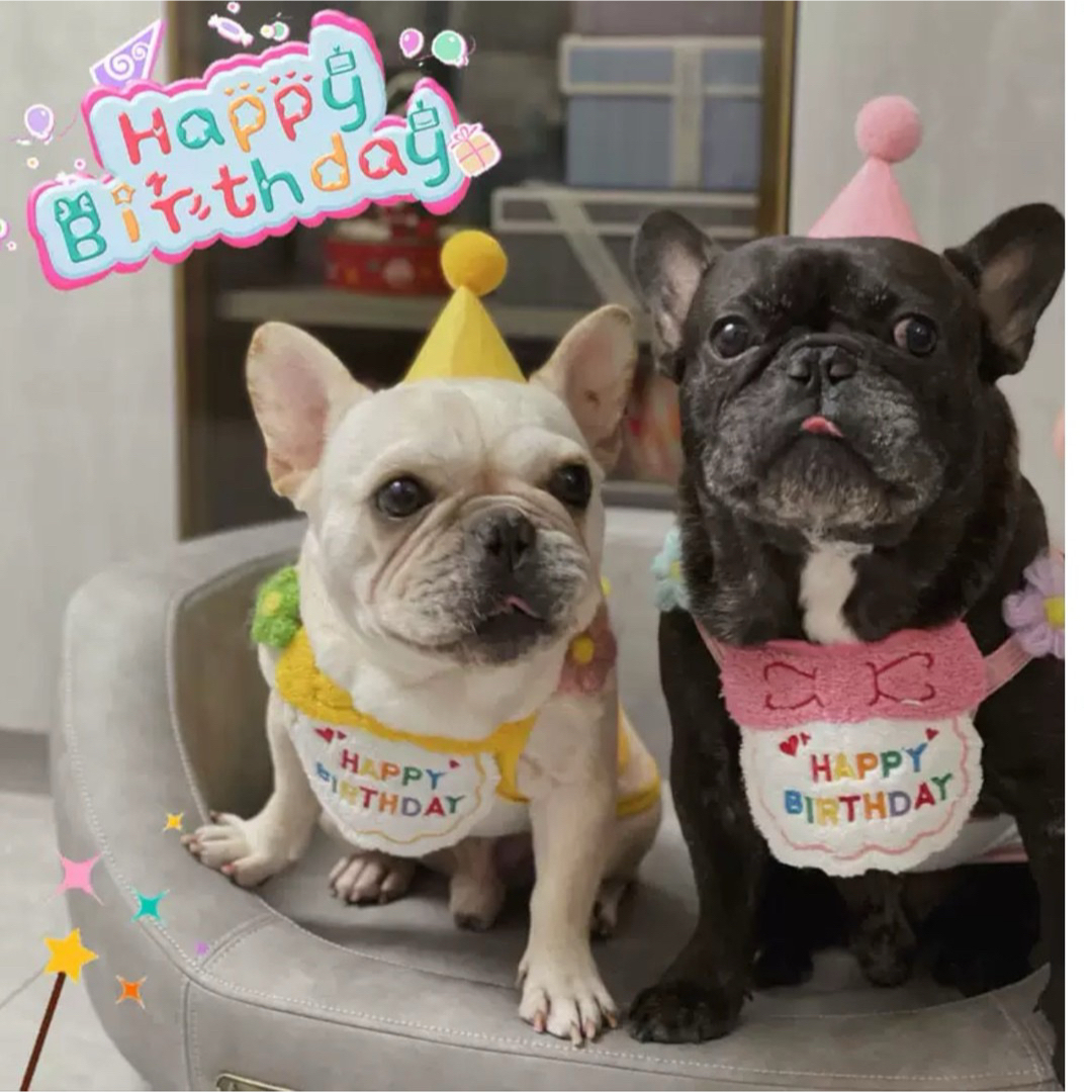 ペット　スタイ　帽子　誕生日　２点セット　バースデー　犬　猫　うさぎ　誕生日記念 その他のペット用品(犬)の商品写真