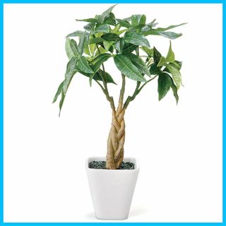ケーアイジャパン(Kijapan) インテリアグリーン 造花 観葉植物 光触媒 (その他)