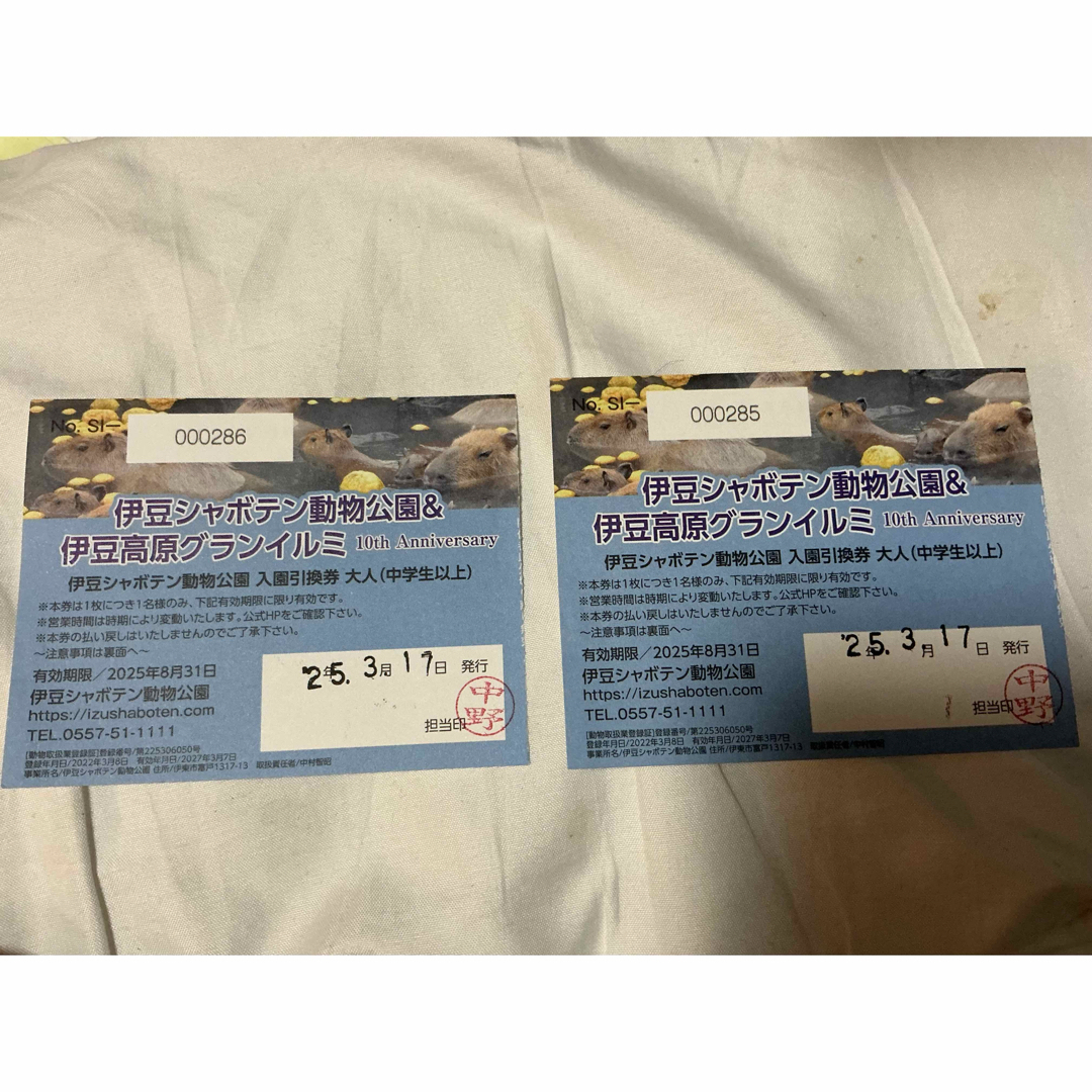伊豆シャボテン動物公園　2名様招待券　伊豆シャボテンリゾート　株主優待券 チケットの施設利用券(遊園地/テーマパーク)の商品写真