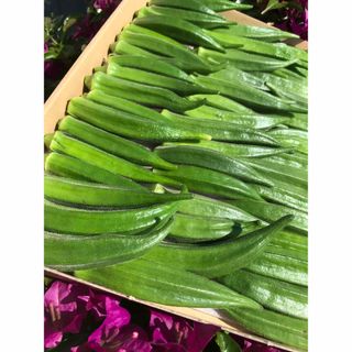 オクラ(野菜)