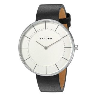 スカーゲン(SKAGEN)の【新作】スカーゲン 腕時計 レディース SKW2611 新品(腕時計)