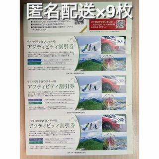  日本駐車場開発 株主優待 9枚（ラクマパック） (スキー場)