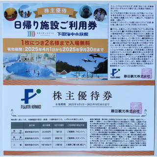 藤田観光 株主優待 日帰り施設ご利用券 1枚ほか 2025年9月期限(水族館)