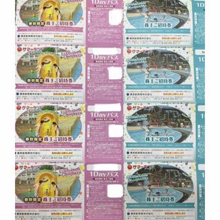 東京サマーランド 1Dayパス 8枚セット 株式優待ご招待券(プール)