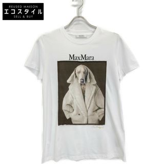 マックスマーラ(Max Mara)のマックスマーラ 【美品/国内正規】2319460339 VALIDO ウェグマンプリント 半袖Tシャツ/ S(Tシャツ(半袖/袖なし))