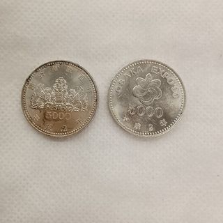 計2枚セット　5000円銀貨　五千円　大阪エキスポ　議会開設百年(その他)