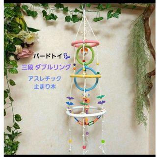 バードトイ　カラー 三段ダブルリング　アスレチック　止まり木　