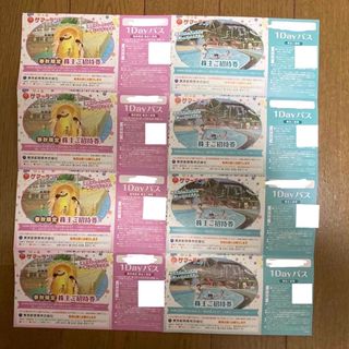東京都競馬 株主優待 東京サマーランド  1dayパス(遊園地/テーマパーク)