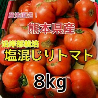 熊本県産 塩混じり トマト 約8kg(送料無料) クール便(野菜)