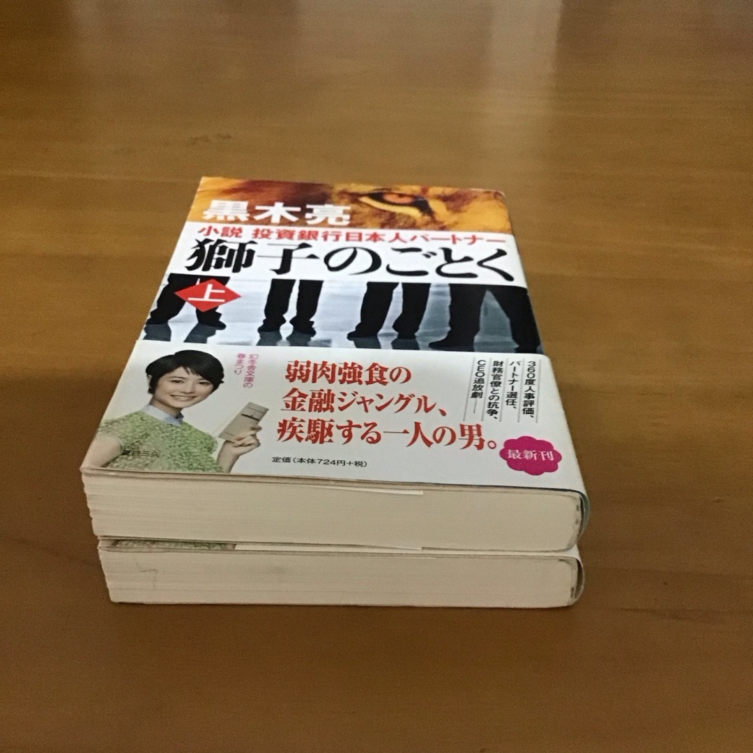 幻冬舎(ゲントウシャ)の黒木亮『獅子のごとく  小説 投資銀行日本人パートナー』上巻・下巻  2冊セット エンタメ/ホビーの本(文学/小説)の商品写真
