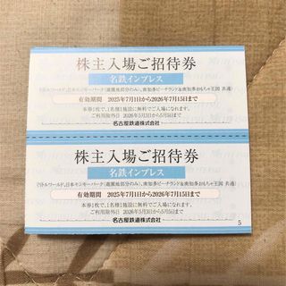リトルワールド 日本モンキーパーク 南知多ビーチランド 入場券2枚(遊園地/テーマパーク)