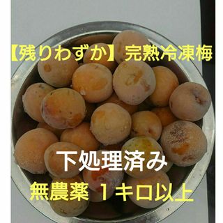 完熟 冷凍 梅  １キロ 以上 無農薬 令和７年 島根県産(フルーツ)