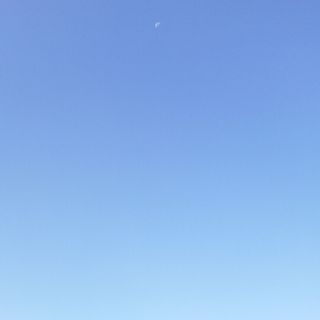 ぽっち様専用(その他)