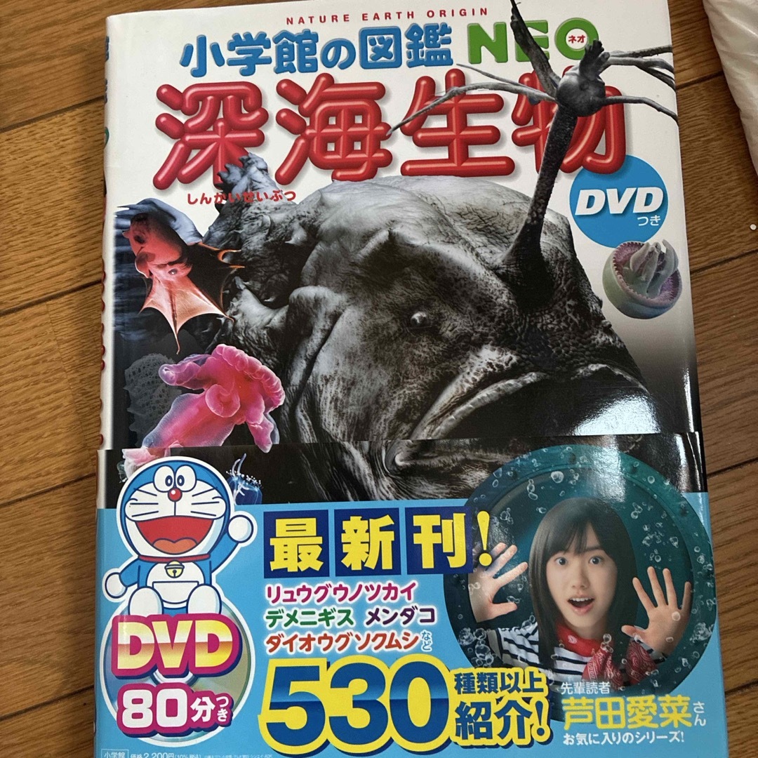 小学館(ショウガクカン)の深海生物　dvd なし エンタメ/ホビーの本(絵本/児童書)の商品写真