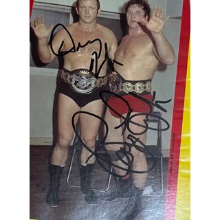 貴重 プロレス・アルバム さよならテリー・ファンク 直筆サイン入り 付録あり(格闘技/プロレス)