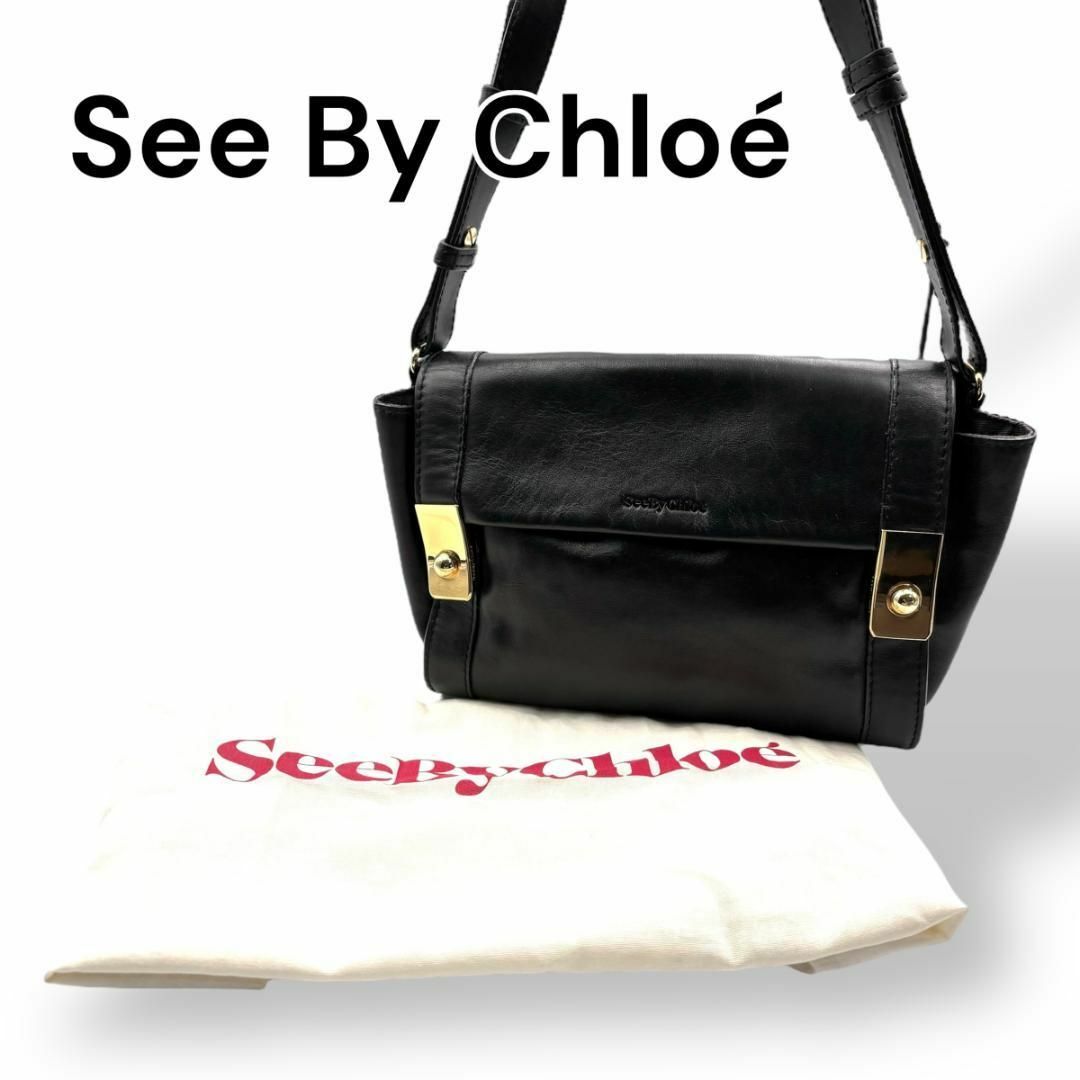 SEE BY CHLOE(シーバイクロエ)のSee by Chloé シーバイクロエ　ショルダーバッグ　レザー　I540 レディースのバッグ(ショルダーバッグ)の商品写真