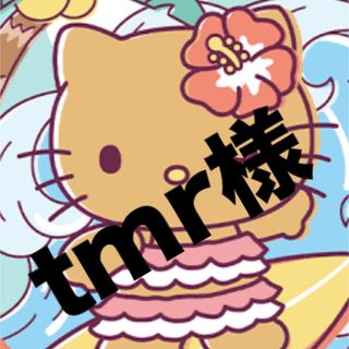 tmr様専用(各種パーツ)