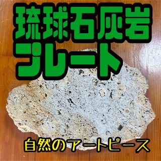 琉球石灰岩プレート