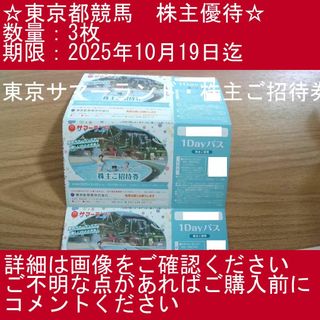 1【3枚・東京サマーランド・株主ご招待券】東京都競馬　株主優待券(プール)